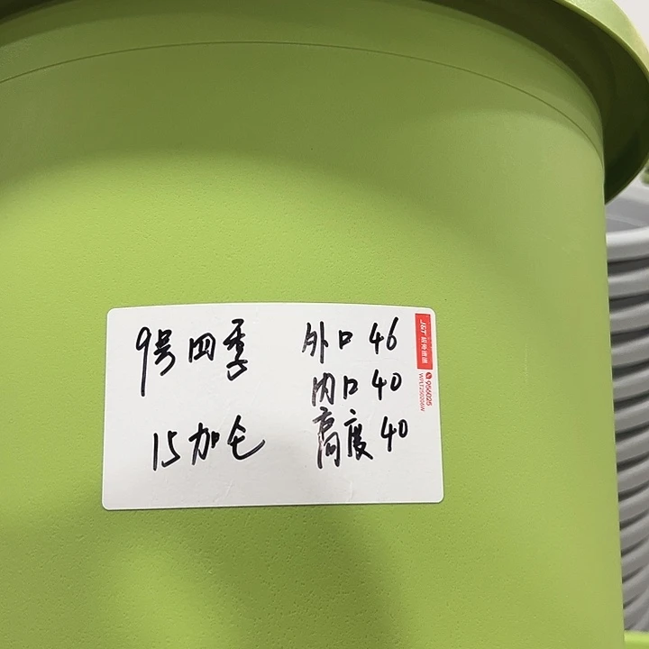 特价9号四季盆口46高40混色无托4支