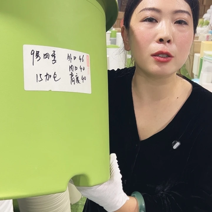 特价9号四季口46高40果绿4只无托