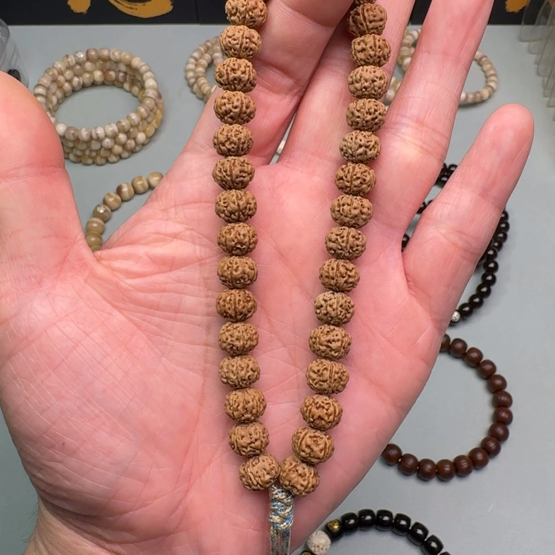 龙脊菩提吊坠原生态手持一条