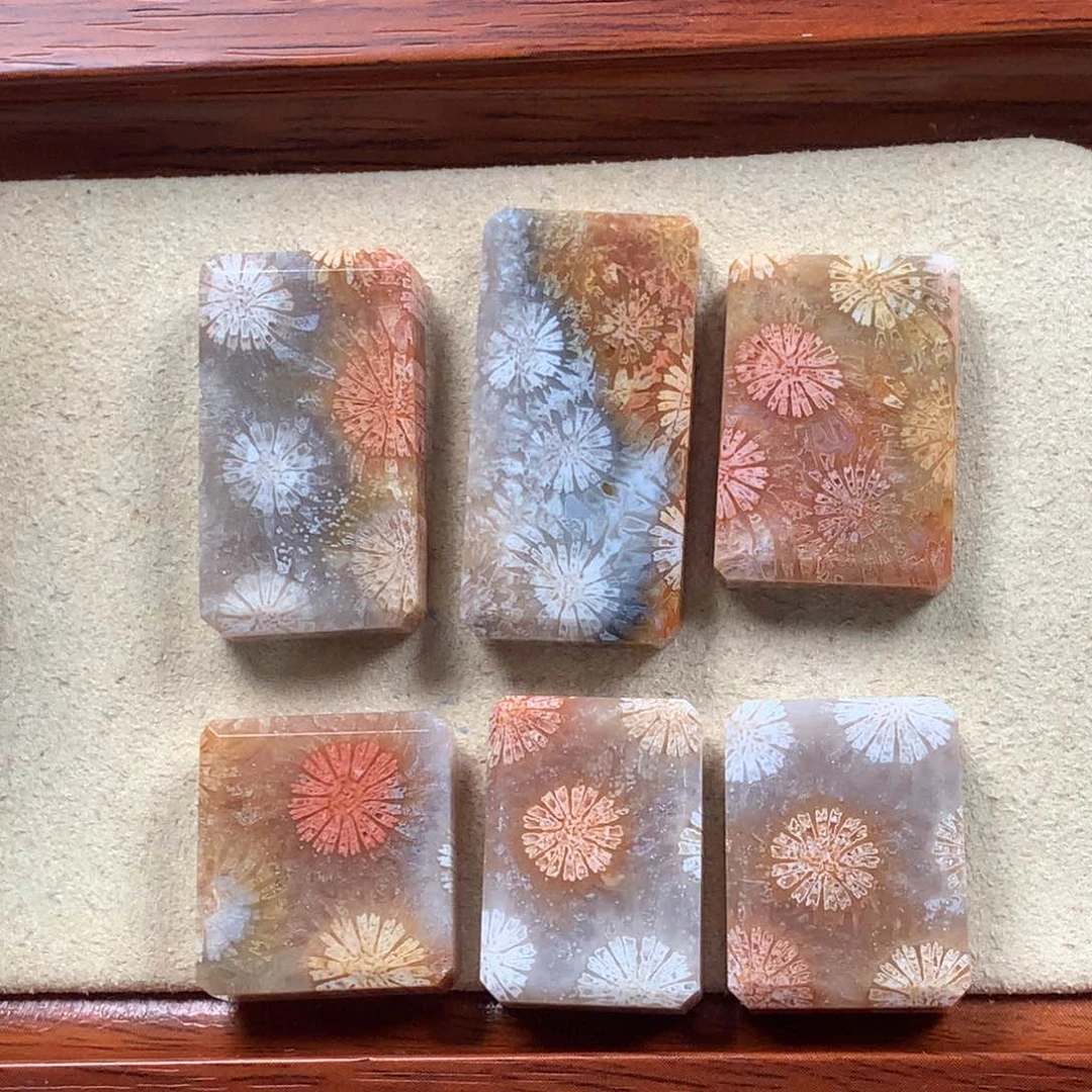 未镶嵌上新 ！！！150/个，可挑。07硅化珊瑚（珊瑚玉）