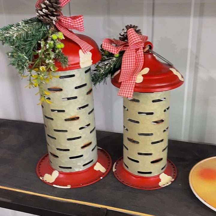 户外园艺孤品盆栽花卉