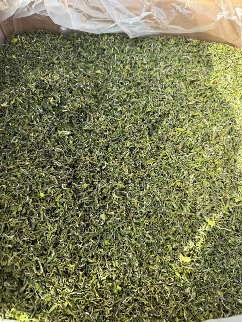 2025年明前手工绿茶 豆香十足鲜爽回甘