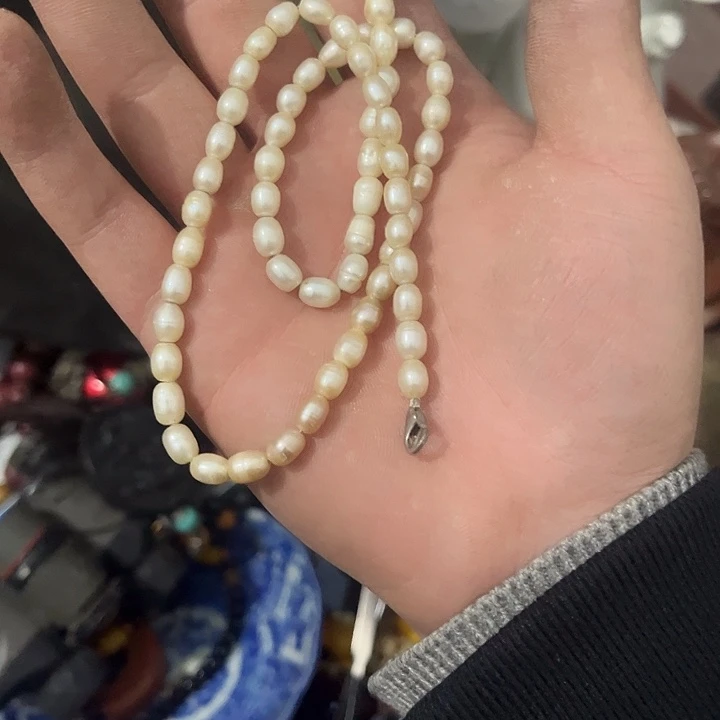 随***叶杂色豆（科檀/科特迪瓦檀木）