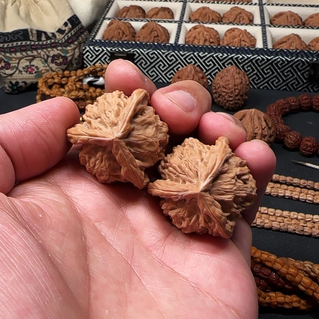 柏香籽/百香籽吊坠盘山三棱正经大奔
