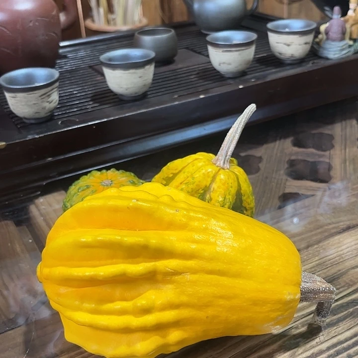 无花朵玫瑰花玫瑰花玫瑰花玫瑰花玫瑰花