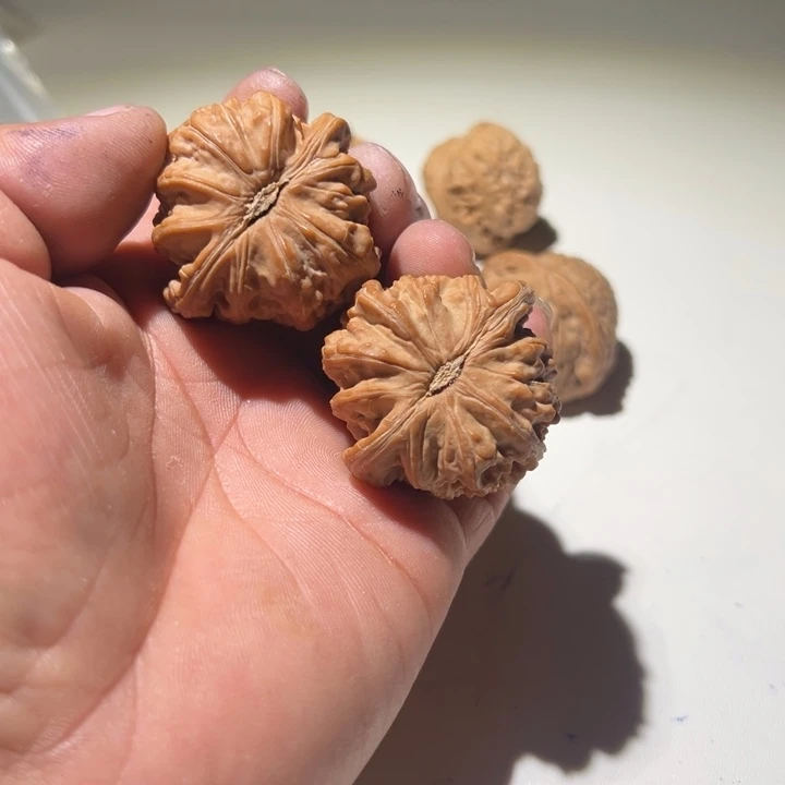 你****文玩核桃把件闷白