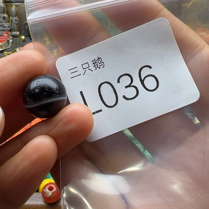 吊坠菩提根/象牙果