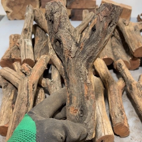 大果紫檀（缅甸花梨）上***花