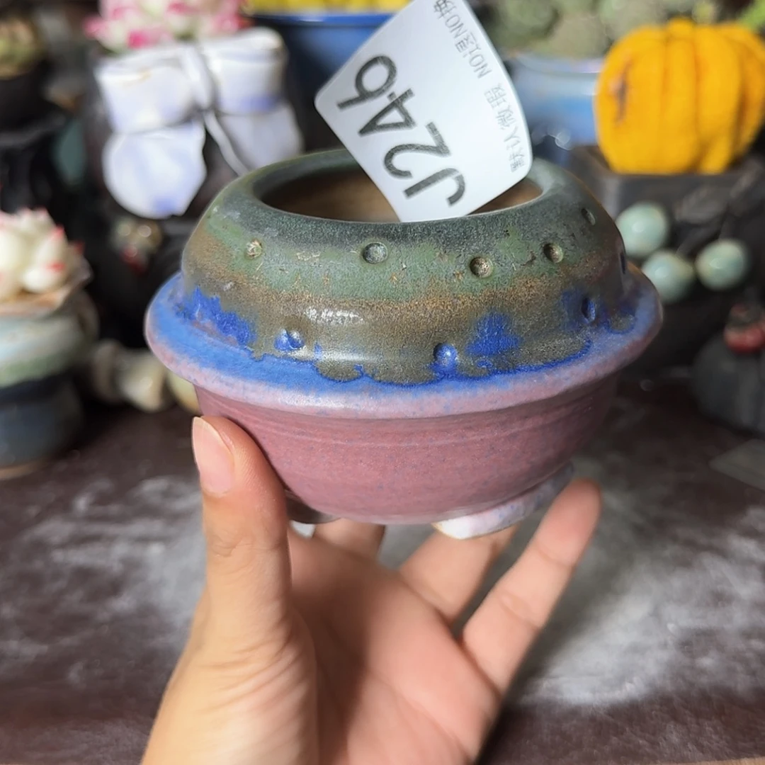 重庆小燕子欢迎大家246