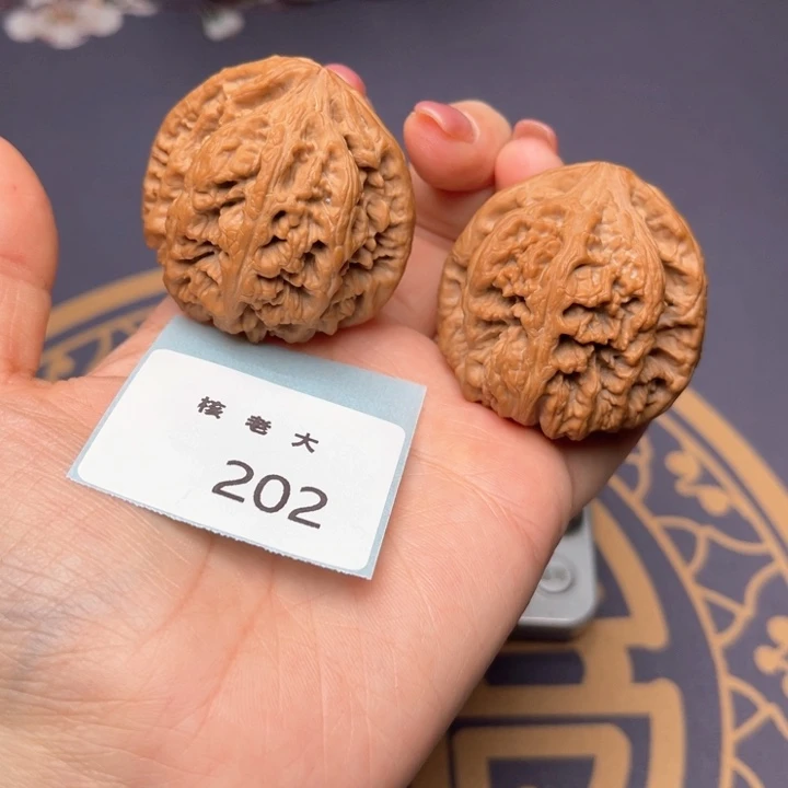 文玩核桃把件43大粗筋 202