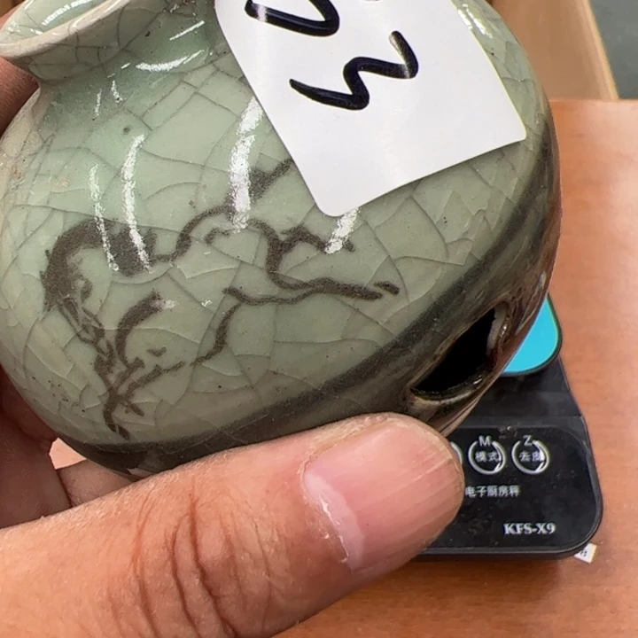 鑫***钉茶宠今天晚上吃什么呢33