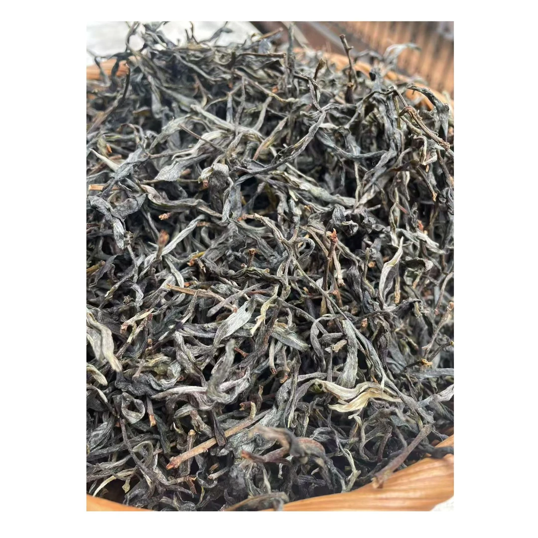 2025年头春弯弓古树尝鲜！