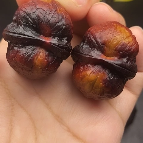 文玩核桃把件38尺云南核桃