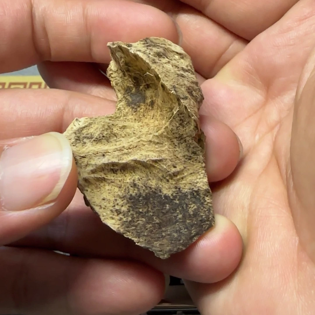 【闪购商品】沉香沉香香囊麻***彦国香系港香大屿山一块香