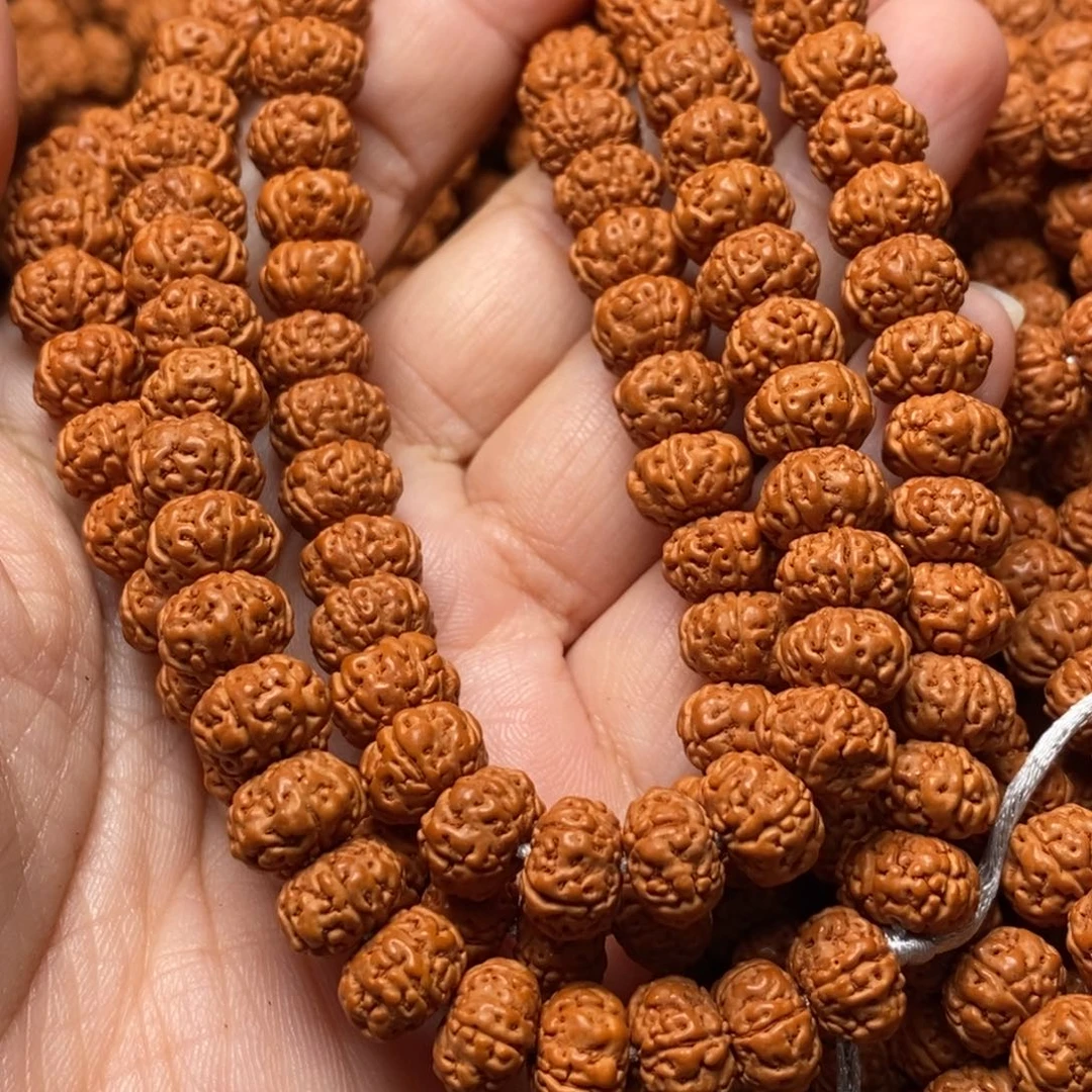 吊坠猴头核桃金刚