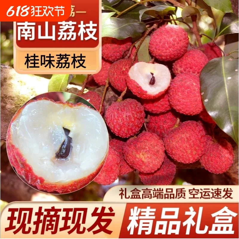 省外专属链接深圳南山荔枝新鲜应季水果现摘现发老树顺丰广东桂味