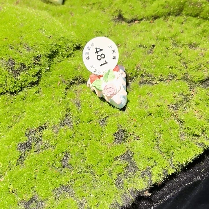 り***り陶瓷啊啊啊啊啊啊啊啊
