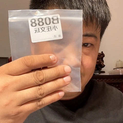 【闪购商品】石英石铁合金泳*088