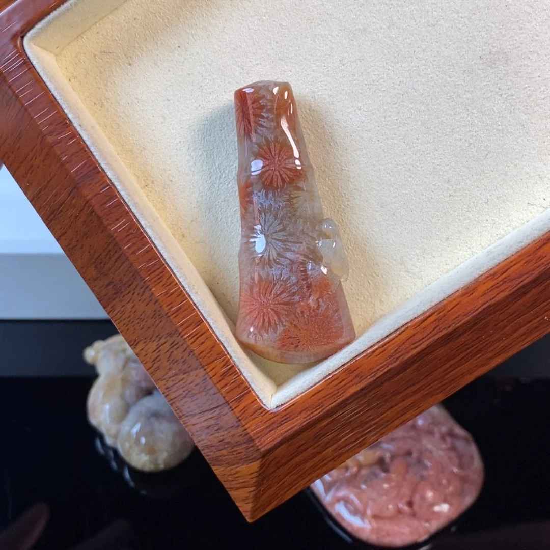 硅化珊瑚（珊瑚玉）未镶嵌颈饰2500