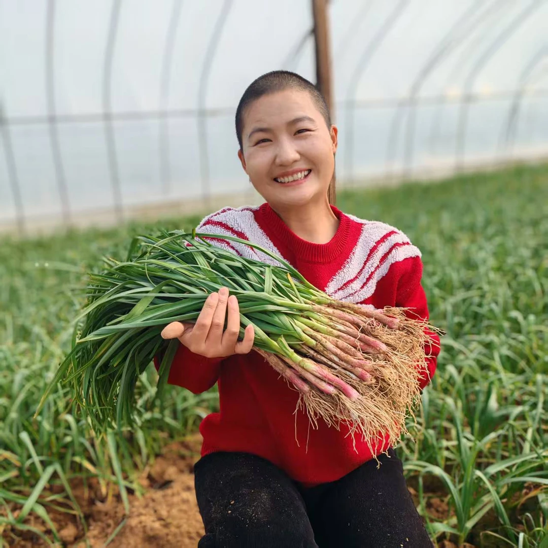 安徽应季红根蒜苗新鲜蒜苗大蒜幼苗鲜嫩美味现挖现发蒜香十足