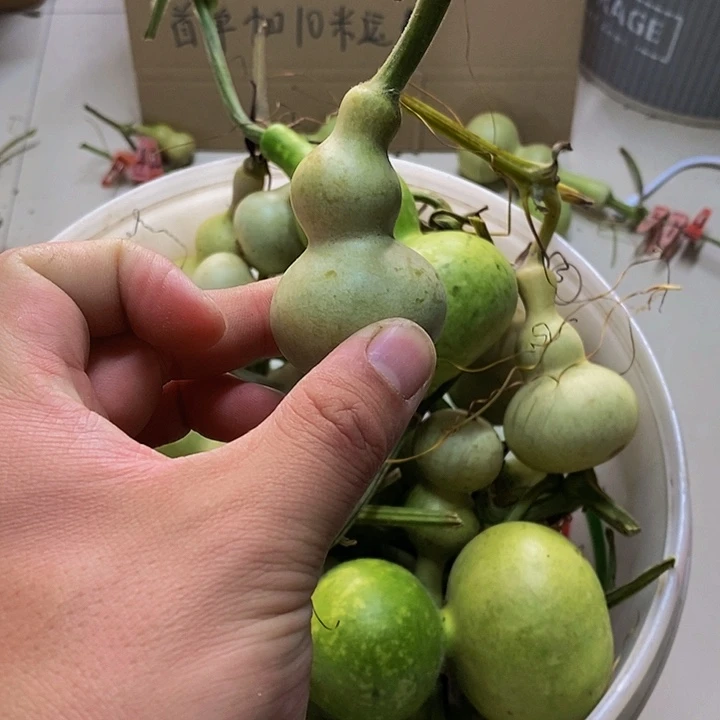 晗***子长嘴哈哈哈哈哈哈哈哈哈哈好