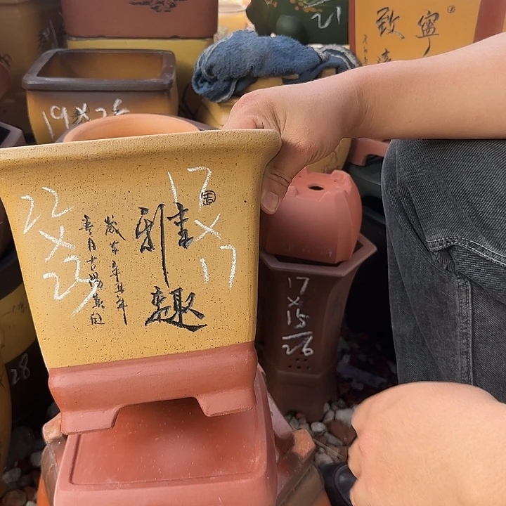 紫砂花盆紫砂花盆