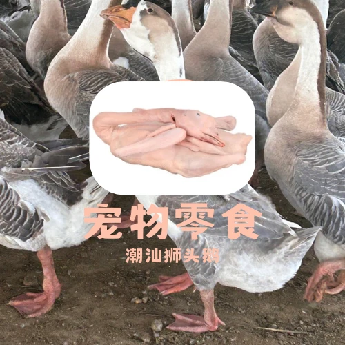 异色5只装出壳宠物零食加工鹅肉鲜活预包装宠物用品