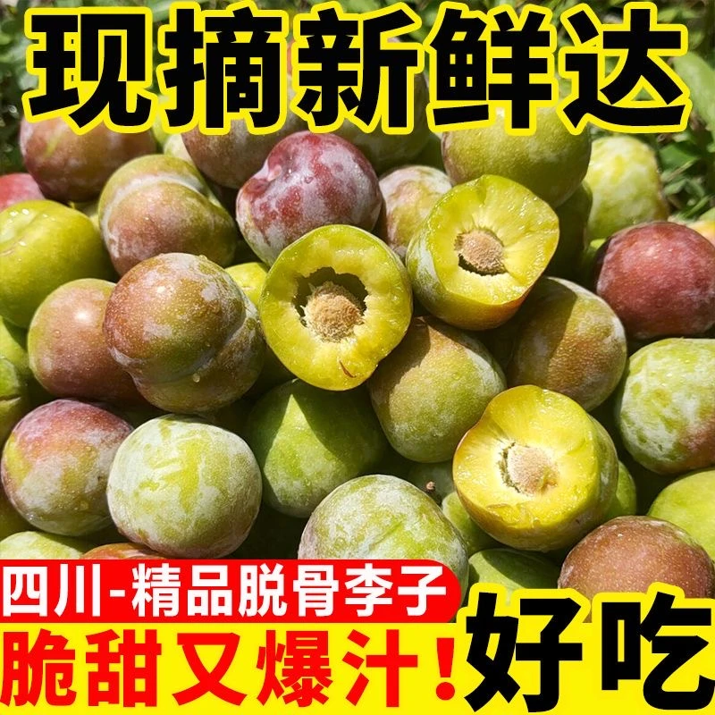 正宗四川半边红茵红李青脆李脱骨李整箱现摘新鲜孕妇水果非蜂糖李