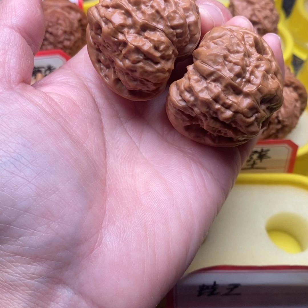 农***。菩提籽类蛙王蛤蟆头