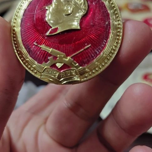 其他普通金属双*纪念章