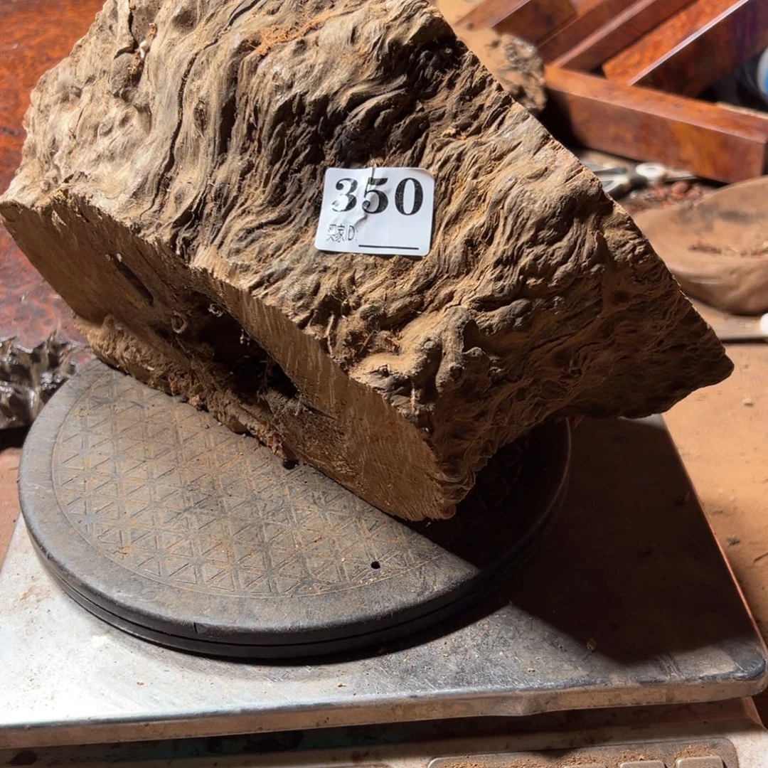 松***园大果紫檀（缅甸花梨）