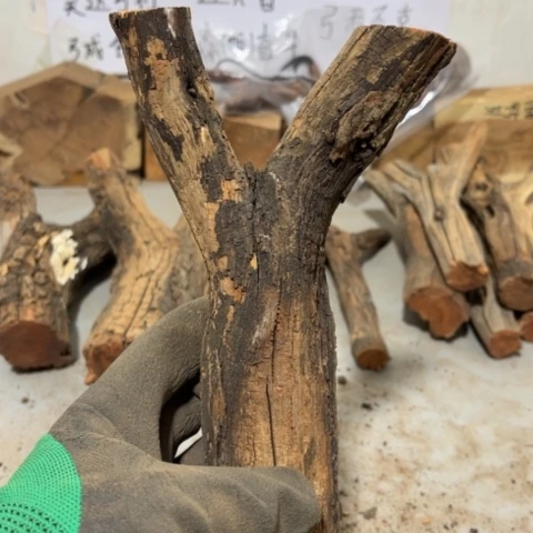 大果紫檀（缅甸花梨）尛*斗