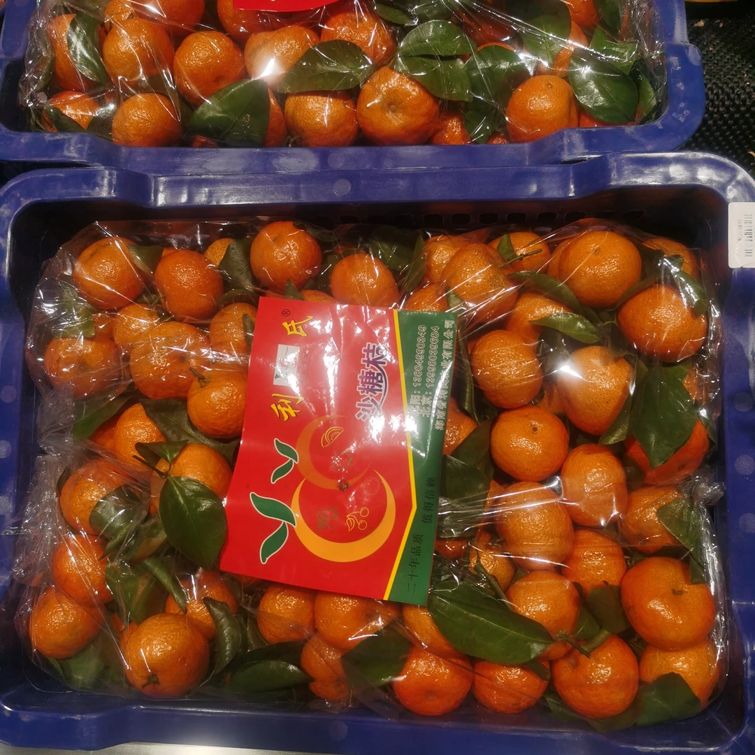 利氏沙糖橘（整箱）