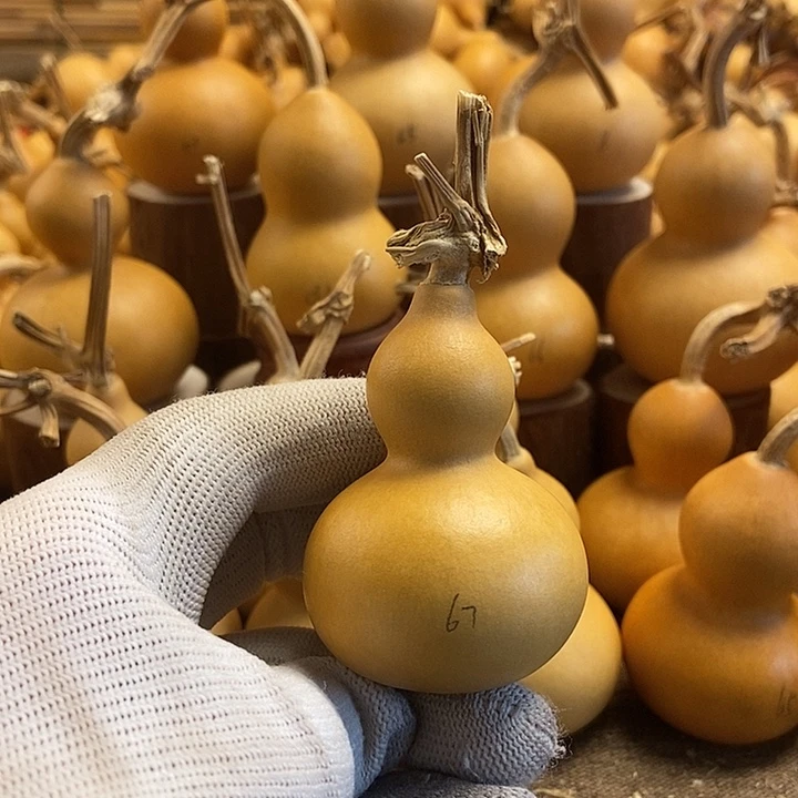 文玩葫芦 完美主义者 慎拍67