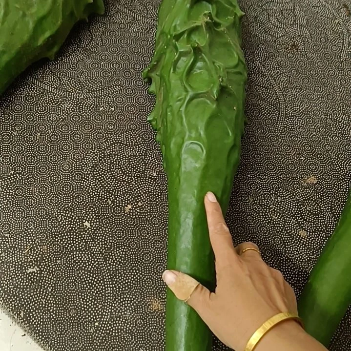 飞***天合成树脂鹤首葫芦！！！！！！！！！