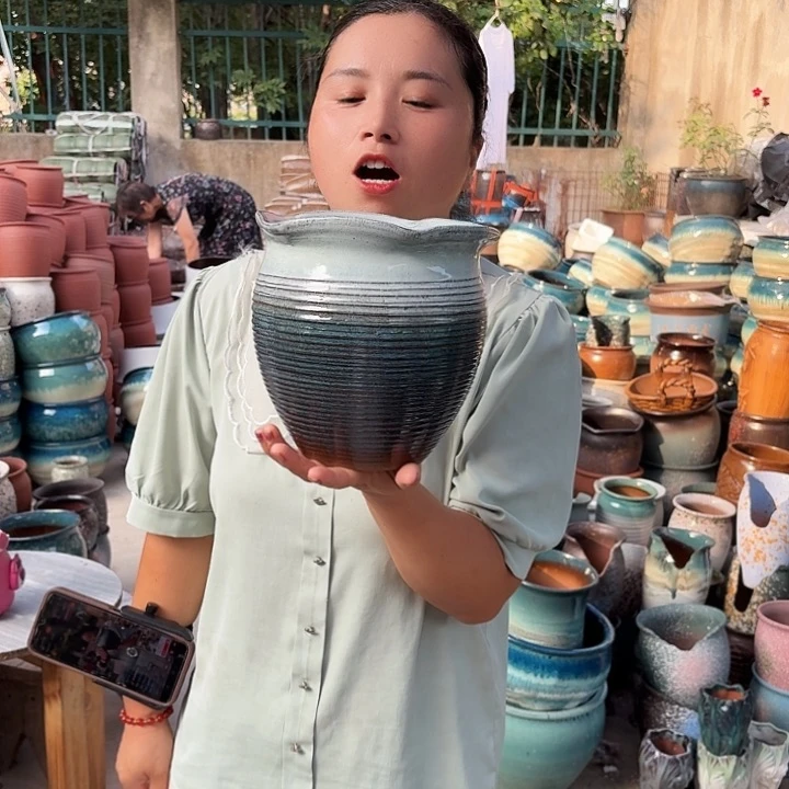 19/19瑕疵的一个盆