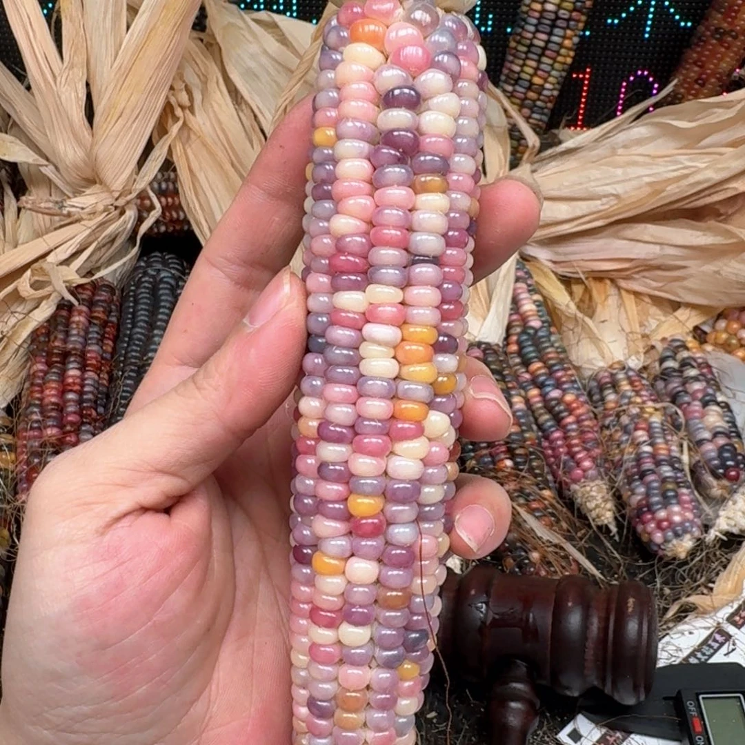 柏香籽/百香籽吊坠小**?