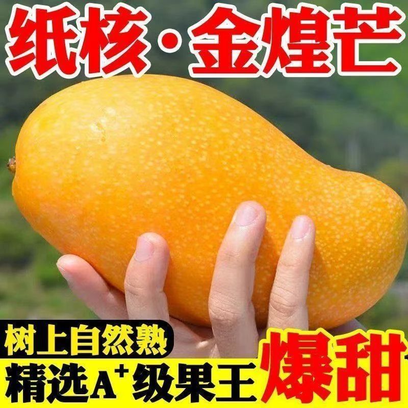 纸核金煌芒果A果（一个约350克）