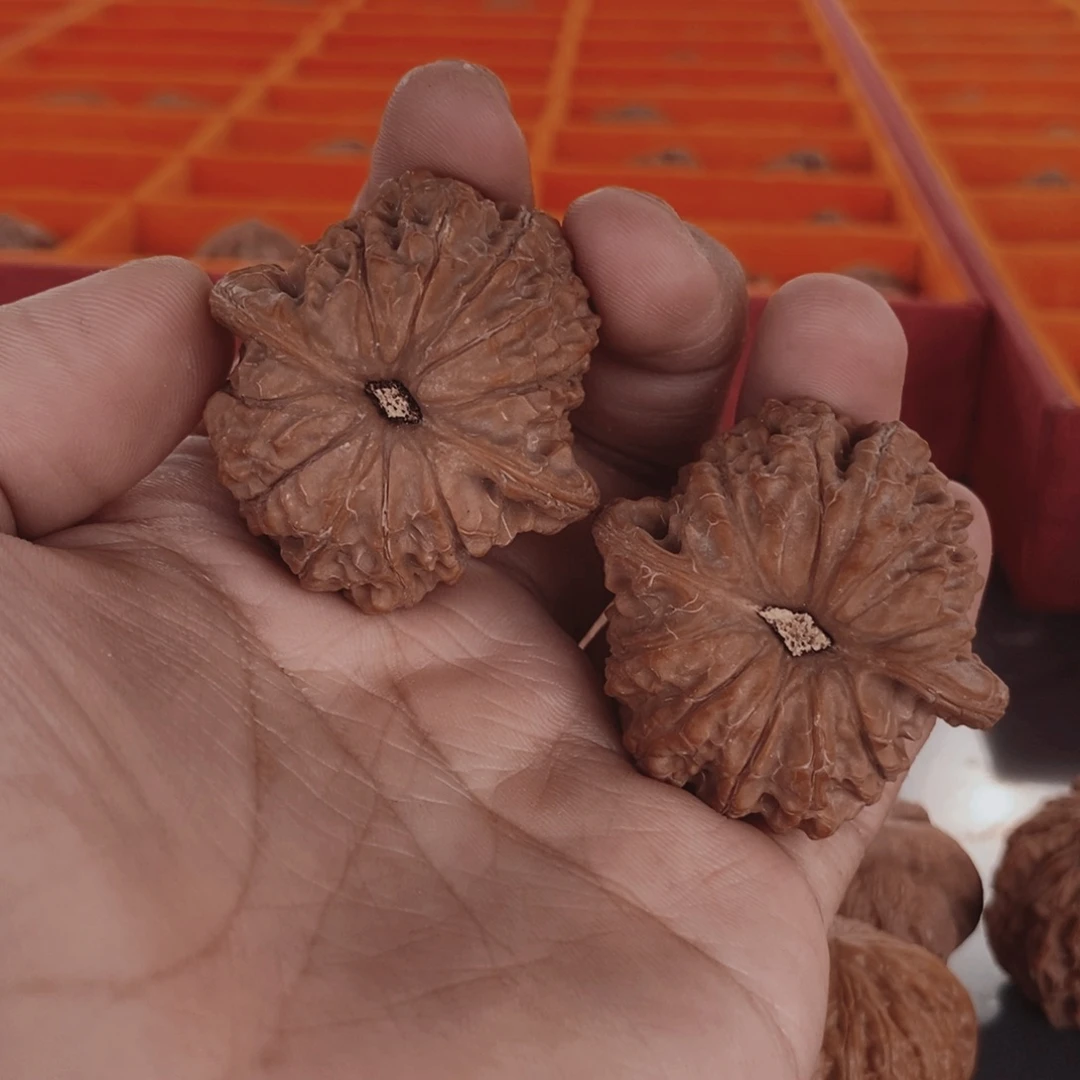 公***子吊坠文玩核桃血麒麟