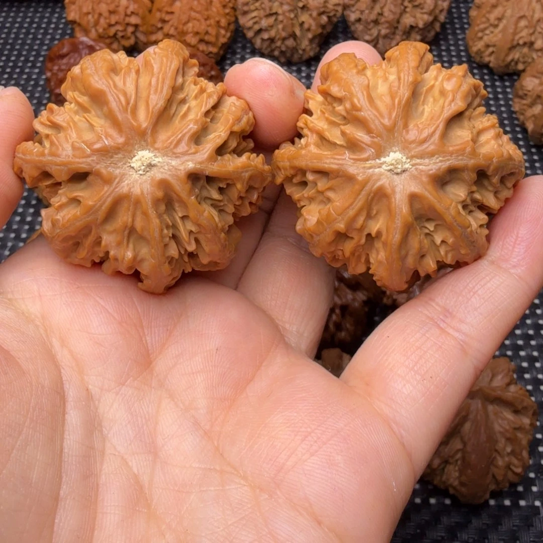 吊坠文玩核桃龙脊八棱18