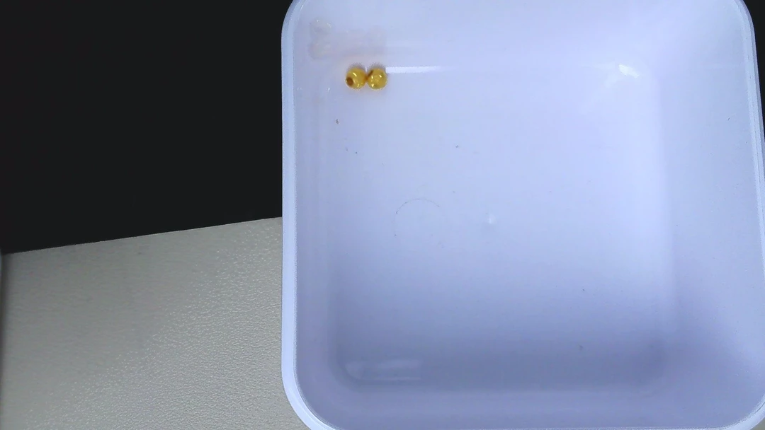 黄金足金小金 豆