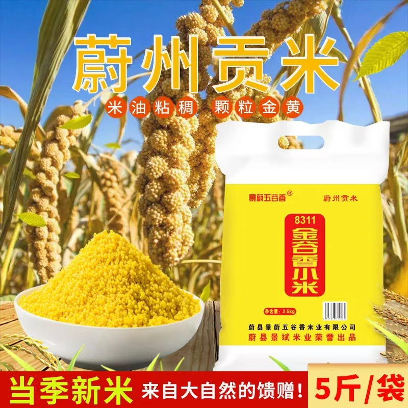 2025年头茬新米黄小米5斤蔚县小黄米新蔚州贡米五谷杂粮香糯粥