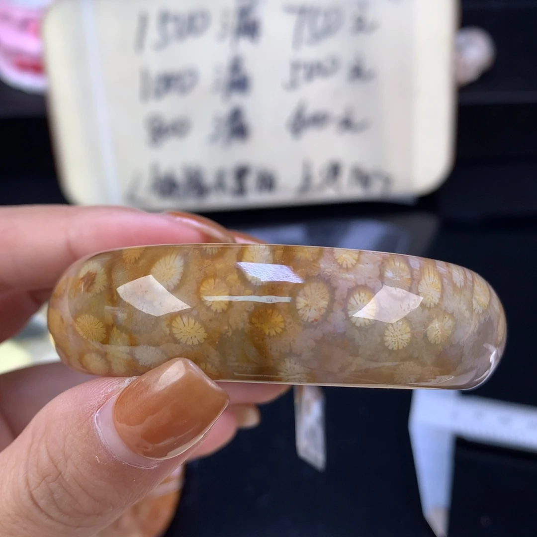 硅化珊瑚（珊瑚玉）未镶嵌颈饰精美手镯五折55.9口（68号）