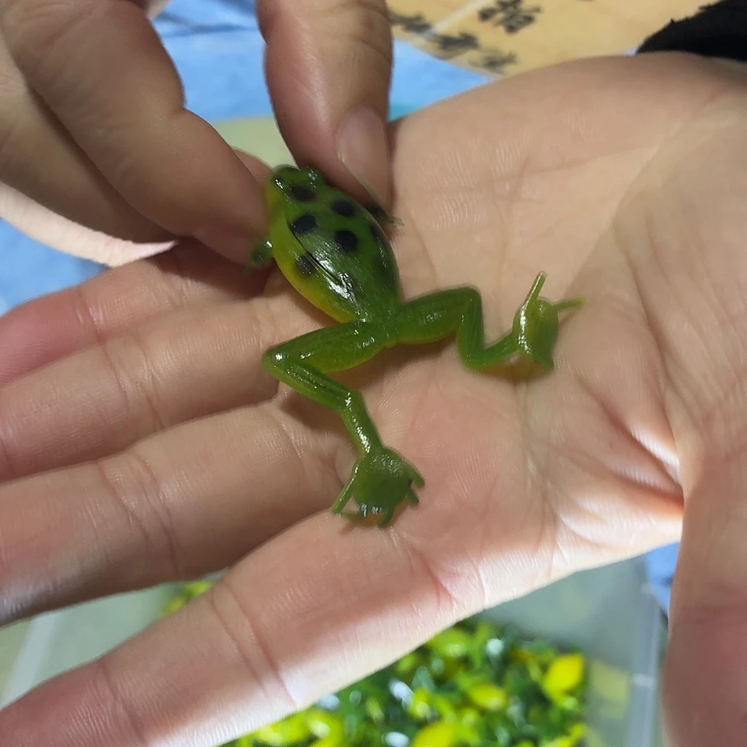 散36-20个颜色随机