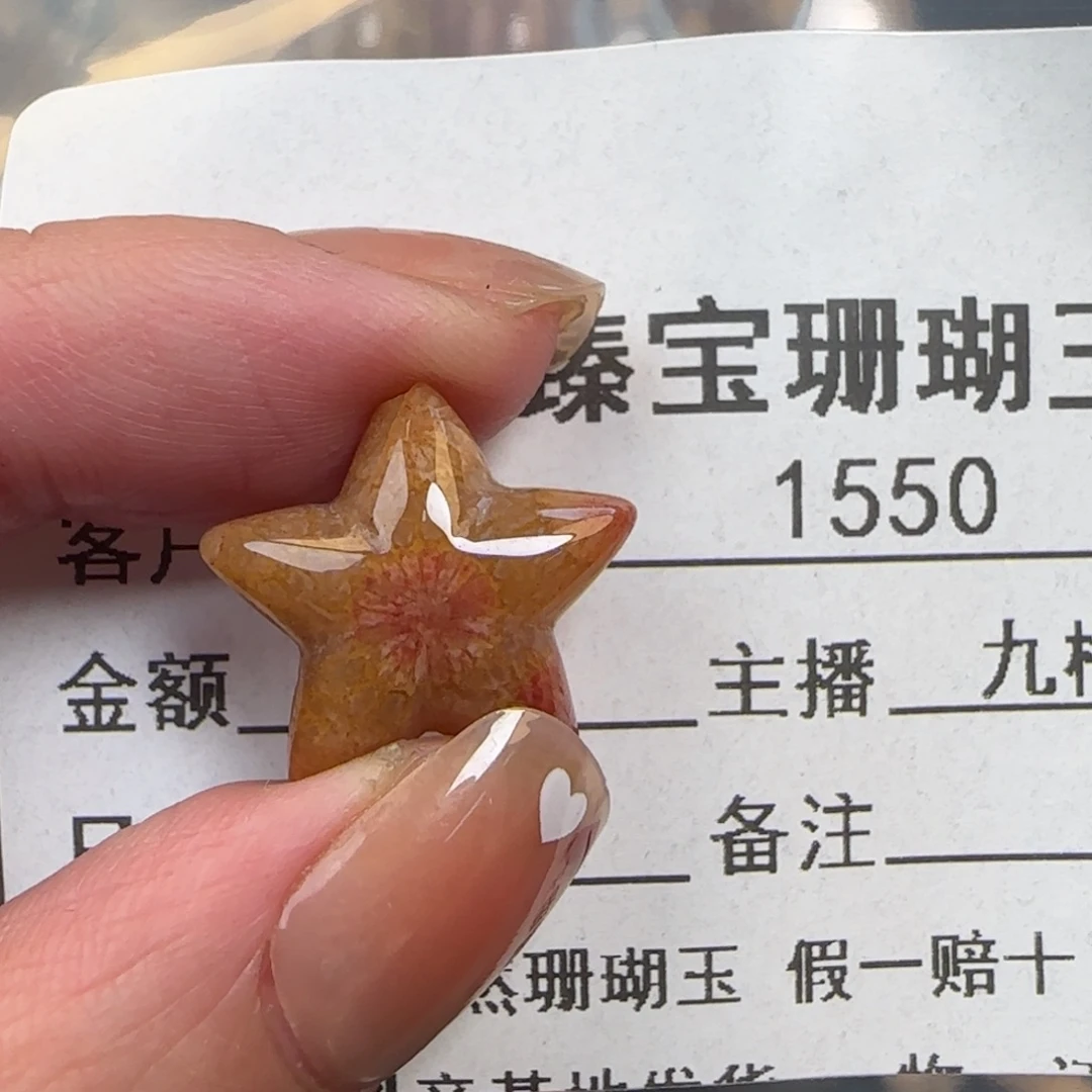 硅化珊瑚（珊瑚玉）未镶嵌颈饰