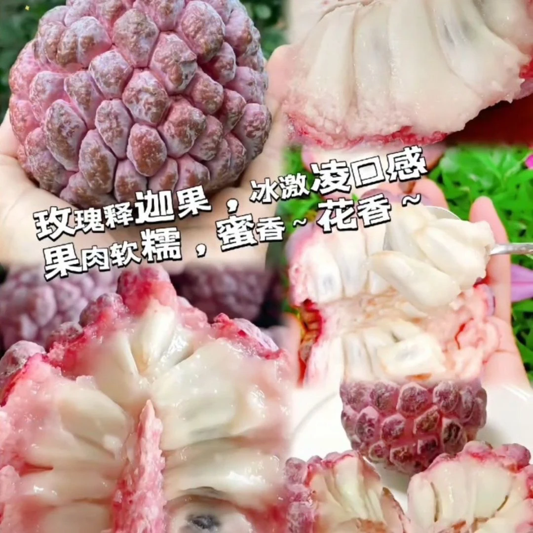 顺丰包邮珍稀名果玫瑰红释迦果新鲜当季热带水果软糯香甜红皮释迦