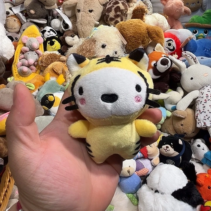 毛绒挂件哈哈哈哈哈哈