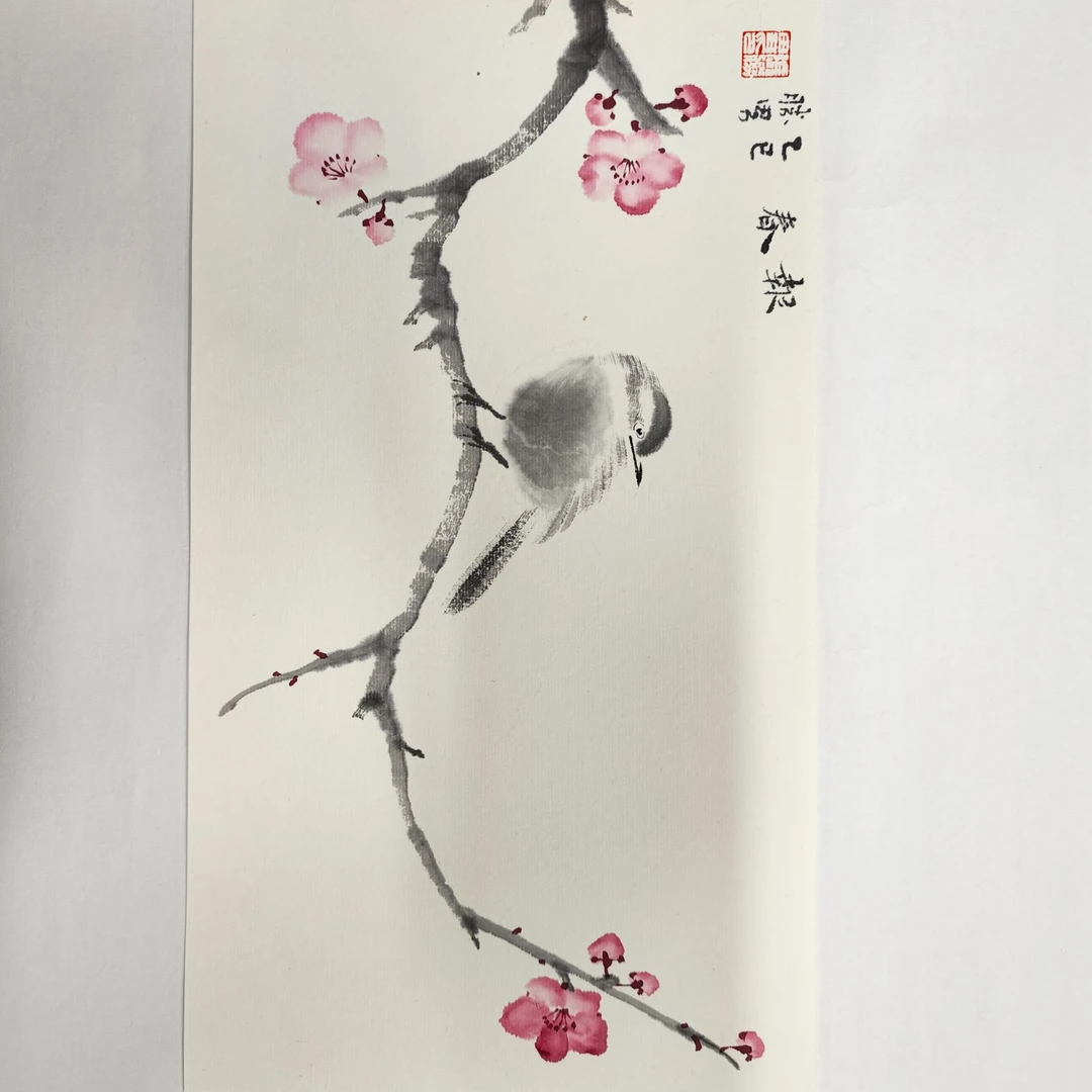 张胜男老师花鸟作品