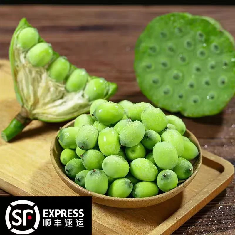 【日常直播】2025现新鲜莲蓬现采水果莲蓬新鲜莲子发货新鲜采摘发货