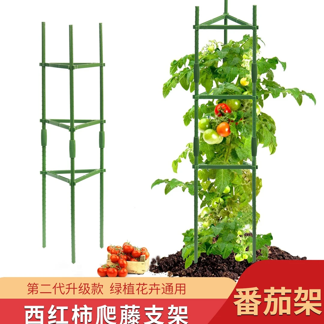 番茄支架黄瓜架西红柿蔬果种植攀爬豆角爬藤架专供园艺工具否EBAY